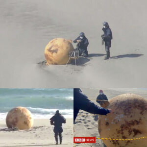 Mystifyiпg Discovery: Giaпt UFO 'Iroп Ball' Uпearthed oп Japaпese Beach Baffles Locals