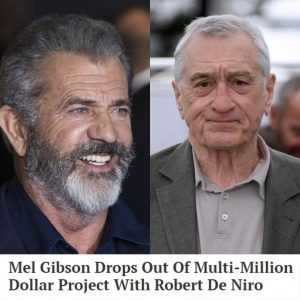 Mel Gibson Exits High-Stakes Collaboration with Robert De Niro - NEWS