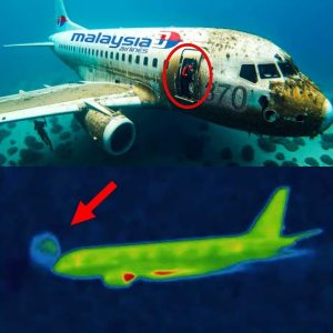 HOT: Researchers Terrifying New Discovery Of Malaysian Flight 370 Changes Everything