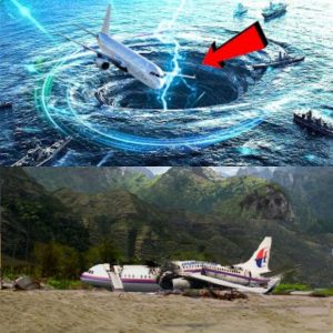 More shocking theories about crashed plane MH370: The world's great mystery is about to be solved?