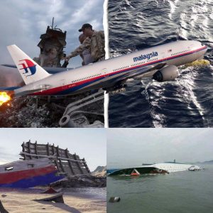The mystery of missing flight MH370 has been solved