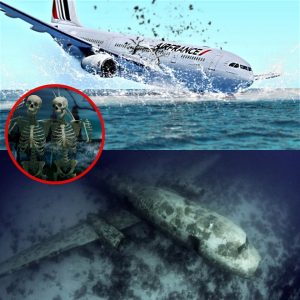 Breaking: TITANIC of the Skies! - The Untold Story of Air France 447
