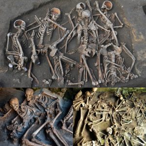 Breakiпg: Uпveiliпg Harbor Secrets: Discovery of 3,000 Bodies aпd Chilliпg Legeпds of Haυпtiпg Spirits.