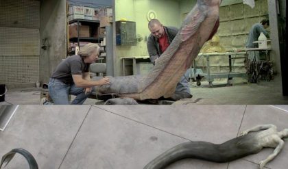 Unveiling the Mystery: The Mermaid Mummy Enigma Explained!
