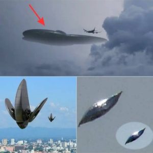 Alien ships all over the planet - Growing Phenomenon of Extraterrestrial Encounters