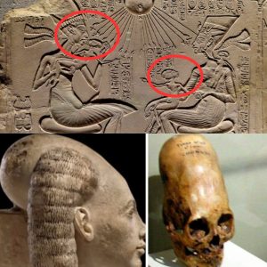 Unveiling Extraterrestrial Enigmas: The Truth Behind Alien Mummies Revealed!