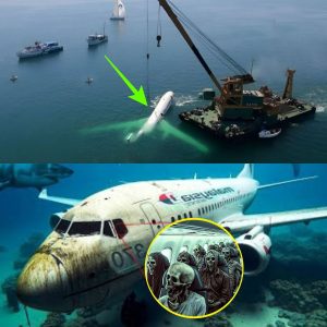 Shocking New Discovery Could Unravel the Mystery of Malaysian Flight 370