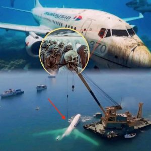 The MH370 Tragedy: 'Alien Hand' and the Most Challenging Search in History?