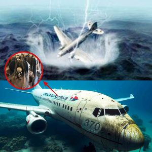Breaking: Decades-Old Missing Plane Discovered: Researchers Stunned by Unbelievable Find