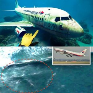 New Revelations About Malaysian Flight 370: Unveiling the Mysteries of the Bermuda Triangle and Beyond