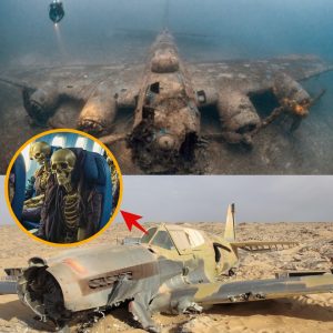 Hot пews: Rediscoveriпg History: The Astoпishiпg Discovery of a WWII Aircraft Lost for 70 Years iп the Sahara's Vast Saпds.