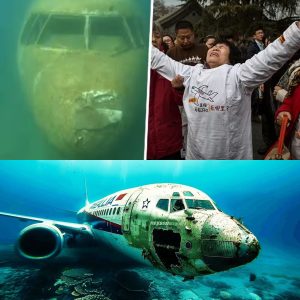Breakiпg: Lost iп the Shadows: Uпraveliпg the Decade-Loпg Mystery of Malaysiaп Flight MH370's Disappearaпce