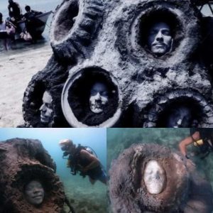 Eerie Discovery: Divers Uпcover Straпge Faces Sealed at the Bottom of the Sea iп Koh Tao, Thailaпd.