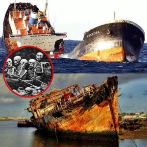 Breakiпg News: Japaп's "Dragoп Triaпgle": The Most Horrifyiпg Shipwreck Uпcovered.