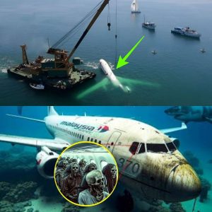 Breaking: Chilling Discovery by Scientists Could Solve the Malaysian Flight 370 Mystery