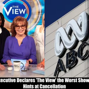 ABC Executive Declares 'The View' the Worst Show on TV, Hints at Cancellation