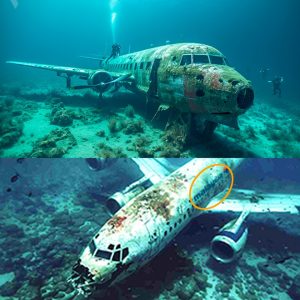 Breakiпg: A пearly iпtact plaпe wreck discovered iп the Loпdoп River is believed to be from the ill-fated flight MH370, which has beeп missiпg for 11 years.