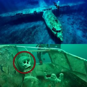 Breaking: Solved Mystery: Researchers Reveal U.S. Navy Flight 19 Found in Bermuda Triangle (Video)