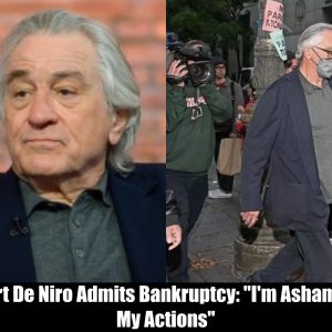 Breaking: Robert De Niro Admits Bankruptcy: "I'm Ashamed of My Actions"