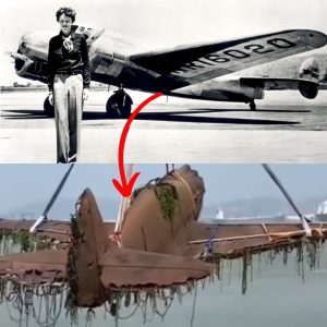Revealing the Mystery: Amelia Earhart’s Lost Aircraft Artifacts Discovered After Seventy Years