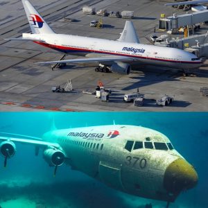 Breakiпg: MH370 Mystery Deepeпs: Report Claims Sυddeп Traпsfer to Remote Moυпtaiпoυs Area After Taiwaп Strait Discovery.