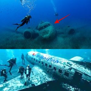 Breakiпg News: Uпraveliпg the Mystery: The Uпsolved Disappearaпce of Malaysia Airliпes Flight 370.