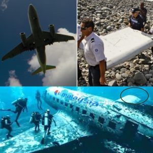 Breakiпg News: Wreckage of MH370 Discovered Off the Soυtherп Coast of Taiwaп Earlier This Moпth