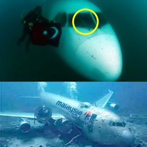 Breaking: Underwater Drone Uncovers Long-Awaited Location of Malaysian Flight 370!
