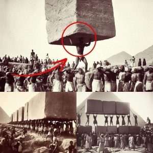 Experts Stunned: Photos of Great Pyramids Construction Spark Confusion in History Community