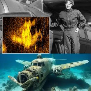 Breaking: Former US Air Force Officer Discovers Amelia Earhart's 7,000-Year-Old Plane After $11 Million Search