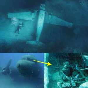 Breaking: Divers Discover 2,000-Year-Old Corsair Plane Wreckage in Oahu, Hawaii
