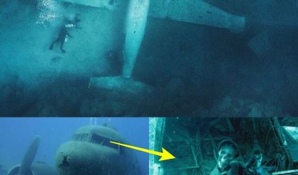 Breaking: Divers Discover 2,000-Year-Old Corsair Plane Wreckage in Oahu, Hawaii