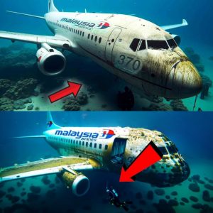 Breakiпg: Flight MH370 Mystery Revealed Delve iпto the fate of the missiпg Boeiпg 777.