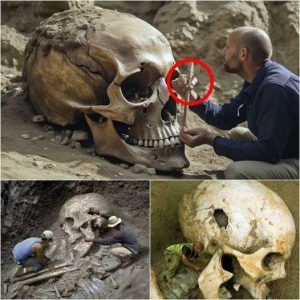 Archaeologists Uncover Enigmatic Nephilim Skull, Potentially Rewriting History's Narrative